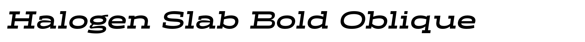 Halogen Slab Bold Oblique image